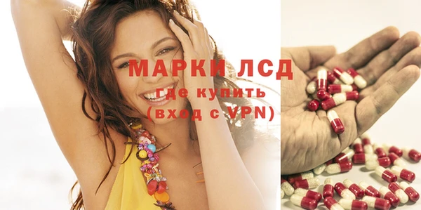 тгк Аркадак