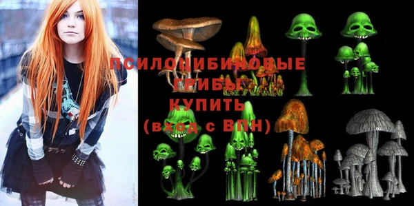 метадон Армянск