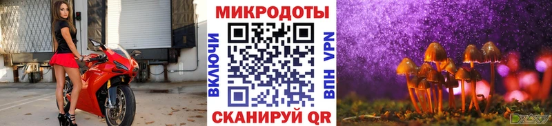 Псилоцибиновые грибы прущие грибы  Собинка 
